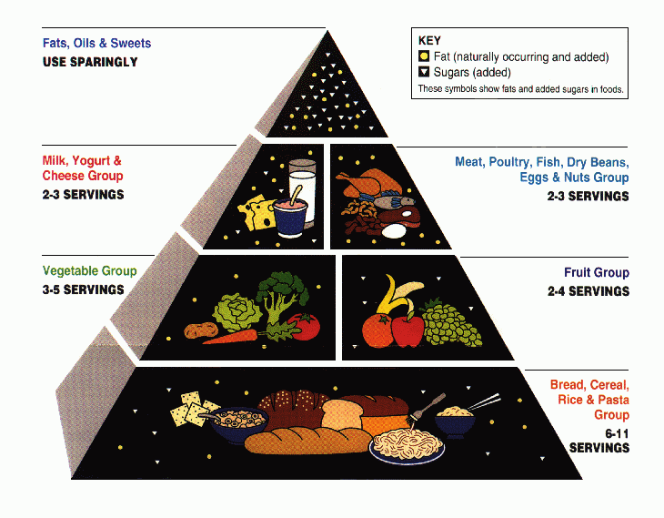 Food pyramid 1992